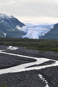 Exit Glacier