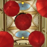 A Look Up