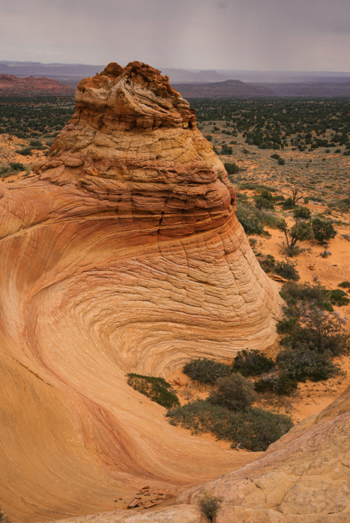 south-coyote-buttes-1