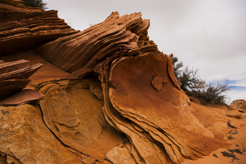 south-coyote-buttes-5