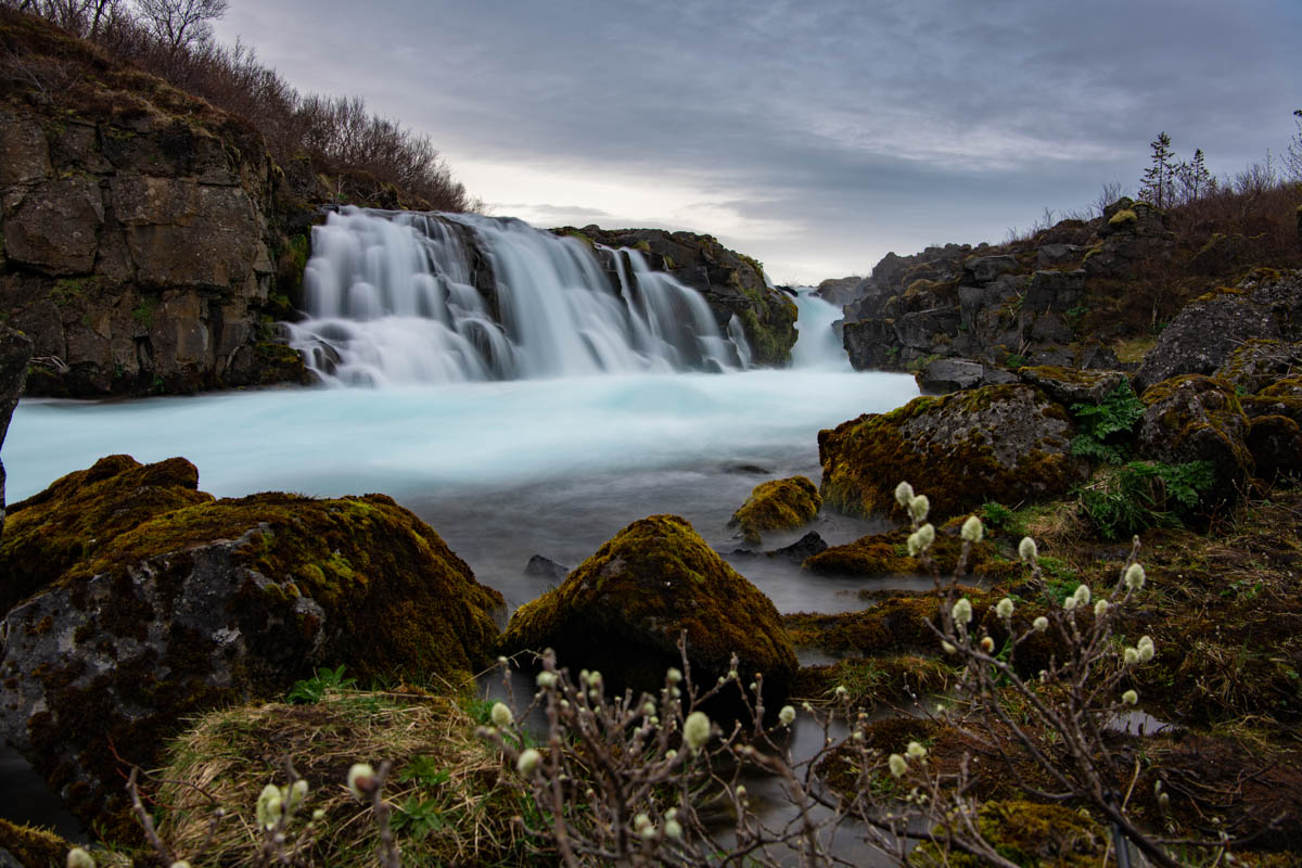 Midfoss